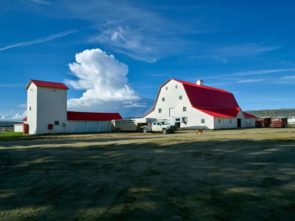 White barn with freshly coated red metal roof on a Central South Carolina farm
